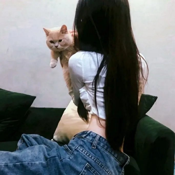 春夏事件簿